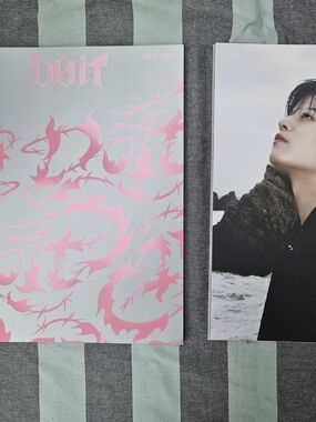 Official Stray Kids "Do It" Book - Target Exclusive Edition ALL Inclusions!
